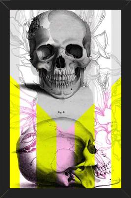Cuadro Skull in Summer