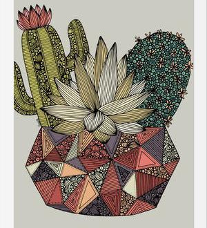 Cuadro Cactus