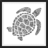 Cuadro Tortuga2