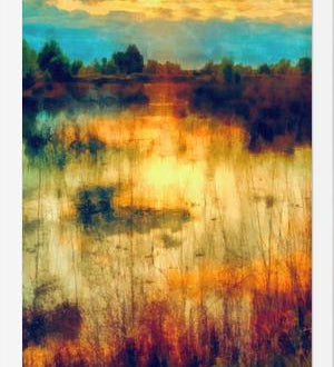 Cuadro Reflections on the Lake