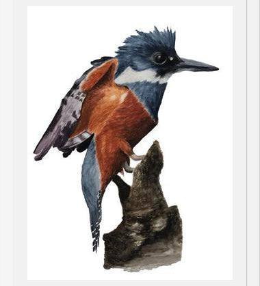 Cuadro Martín pescador