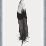Cuadro Pluma Acuarela 2