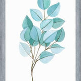 Cuadro Eucalipto 01