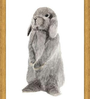 Cuadro conejito gris