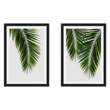 Set de Cuadros Palm Leaf I y II