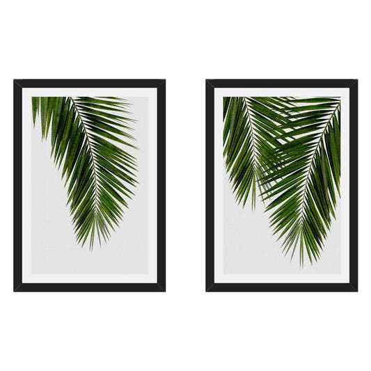 Set de Cuadros Palm Leaf I y II
