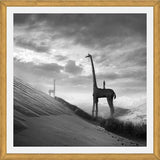 Cuadro Giraffes