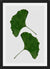 Cuadro Ginkgo Leaf II