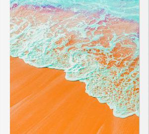 Cuadro Coral Shore