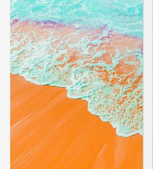 Cuadro Coral Shore