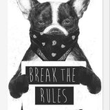 Cuadro Rebel Dog