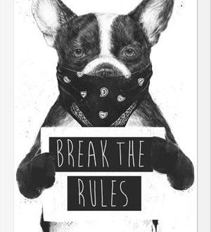 Cuadro Rebel Dog