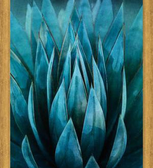 Cuadro Blue Succulent