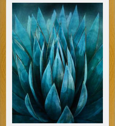 Cuadro Blue Succulent