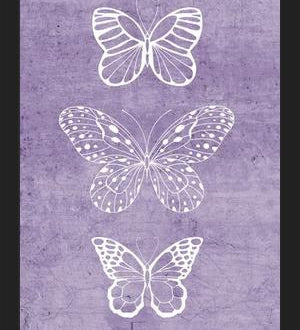 Cuadro Mariposas