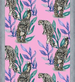 Cuadro Snow leopard