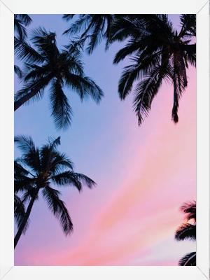 Cuadro Sunset Palms