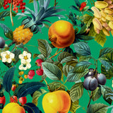 Mantel de Hule Fruit Pattern