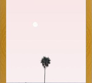 Cuadro La Palmera