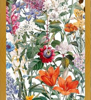 Cuadro Vintage Garden IX