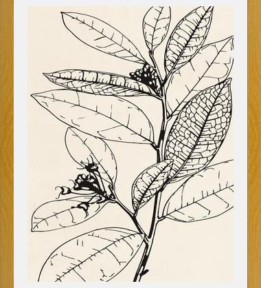 Cuadro MINIMAL LEAVES - 01 NUDE