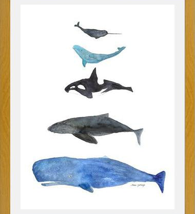 Cuadro Ballenas