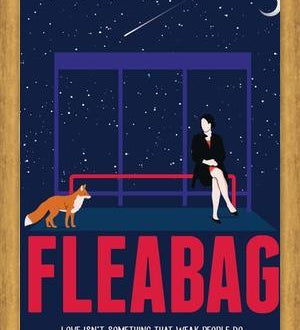 Cuadro Fleabag