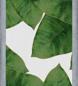 Cuadro Banana Leaf II