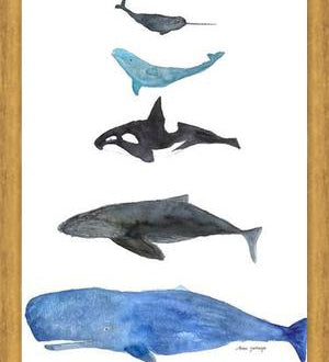Cuadro Ballenas