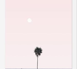 Cuadro La Palmera