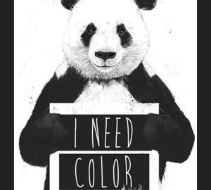 Cuadro I need color