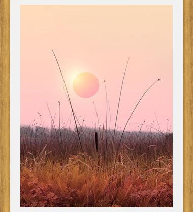 Cuadro Landscape & gradients XII