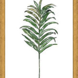 Cuadro Hoja Palma