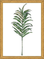 Cuadro Hoja Palma