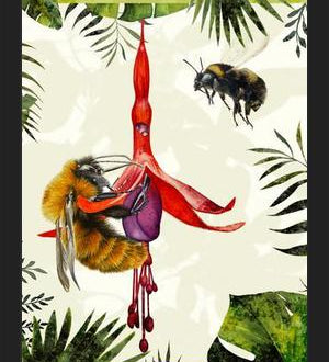 Cuadro Bombus
