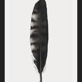 Cuadro Pluma Acuarela 3