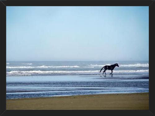 Cuadro Serenity