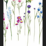 Cuadro Naturaleza