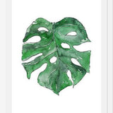 Cuadro Hoja Monstera