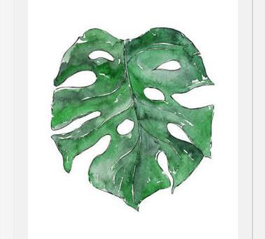 Cuadro Hoja Monstera