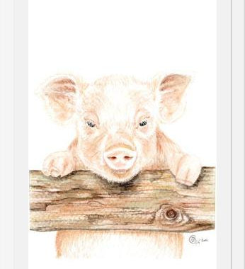 Cuadro cerdito