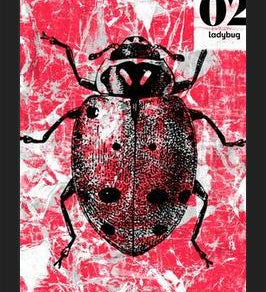 Cuadro BUGS #2