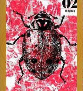 Cuadro BUGS #2