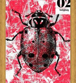 Cuadro BUGS #2