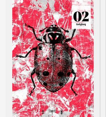 Cuadro BUGS #2