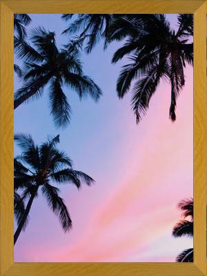 Cuadro Sunset Palms