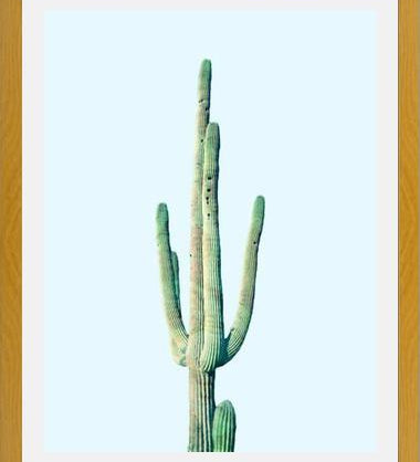 Cuadro Loner Cactus