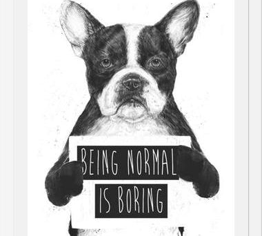 Cuadro Being normal is Boring