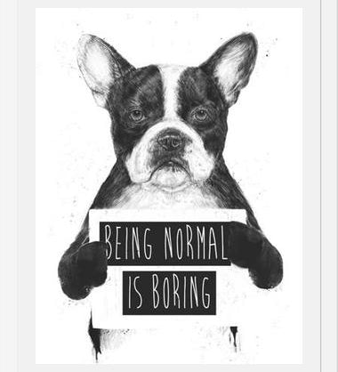 Cuadro Being normal is Boring