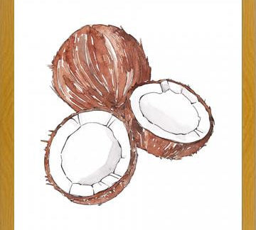 Cuadro COCONUTS